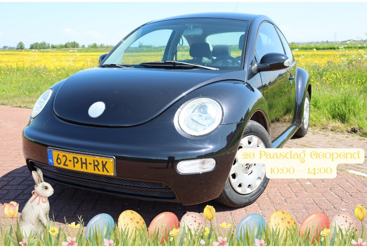 Volkswagen New Beetle