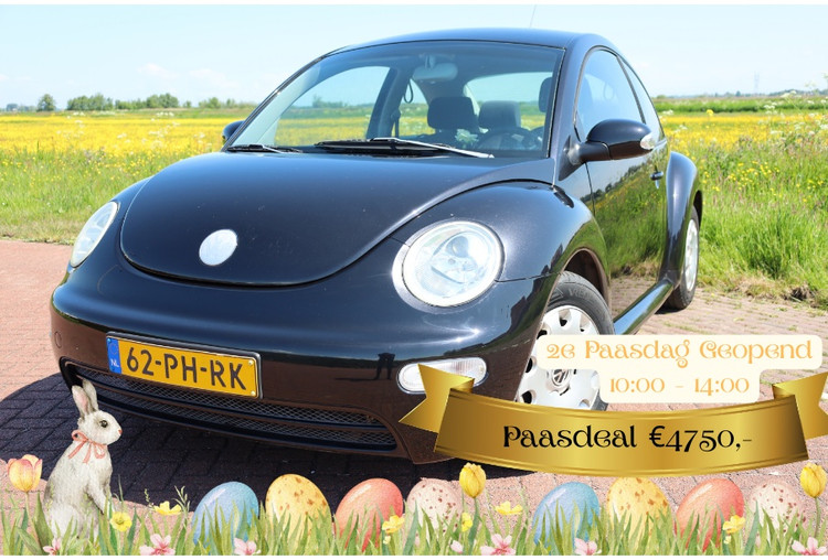 Volkswagen New Beetle