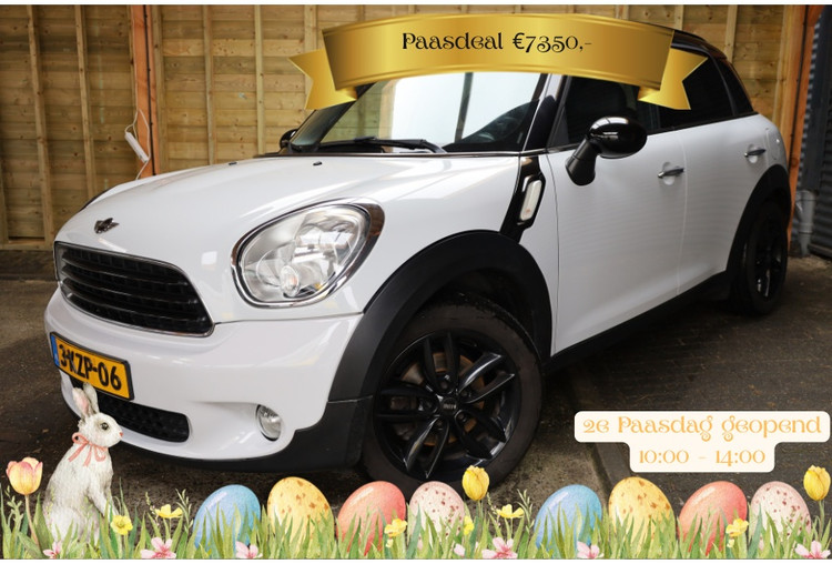 Mini Countryman